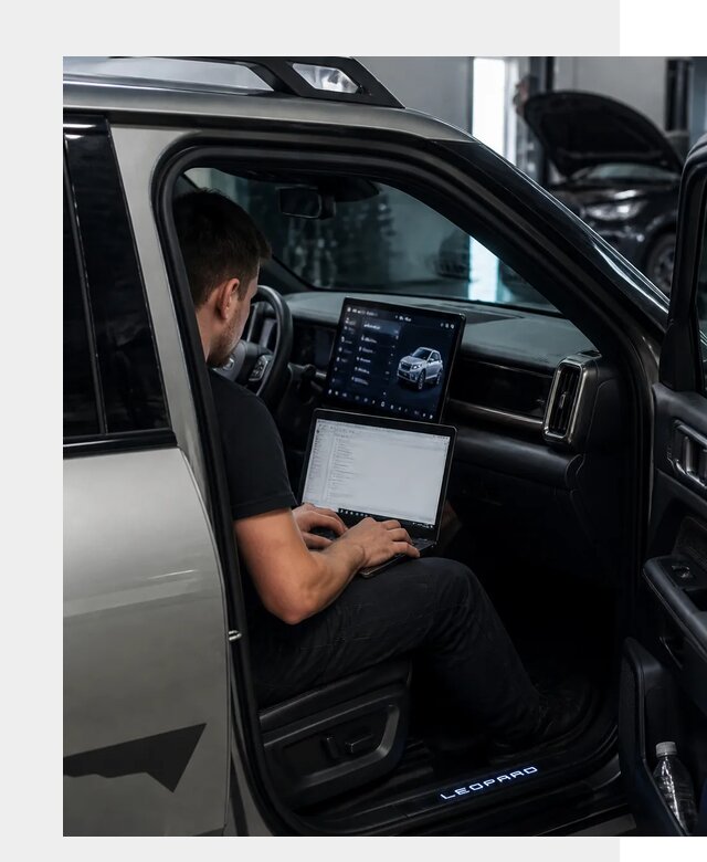Русификация BYD Leopard 3 в Арсеньеве по цене от 20457 р. | ФастМобиль-Рсн