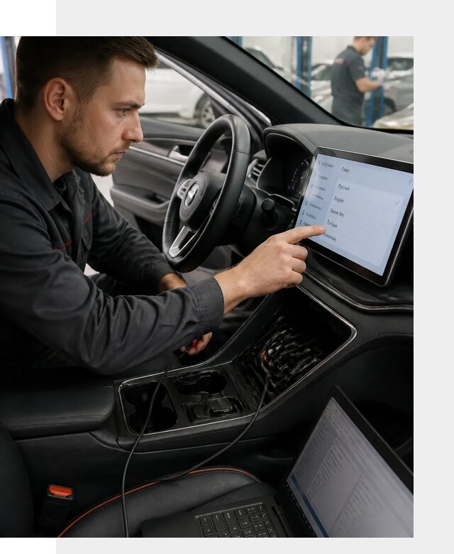 Профессиональная русификация BYD SONG Plus в Арсеньеве